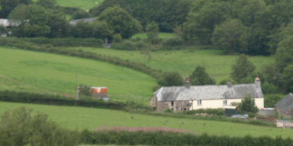 Callisham Farm
