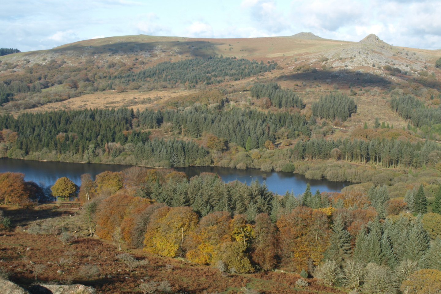 Photography in Dartmoor National Park
